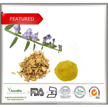 Poudre organique d&#39;extrait de racine de Skullcap de Baical certifié 100% naturel de haute qualité